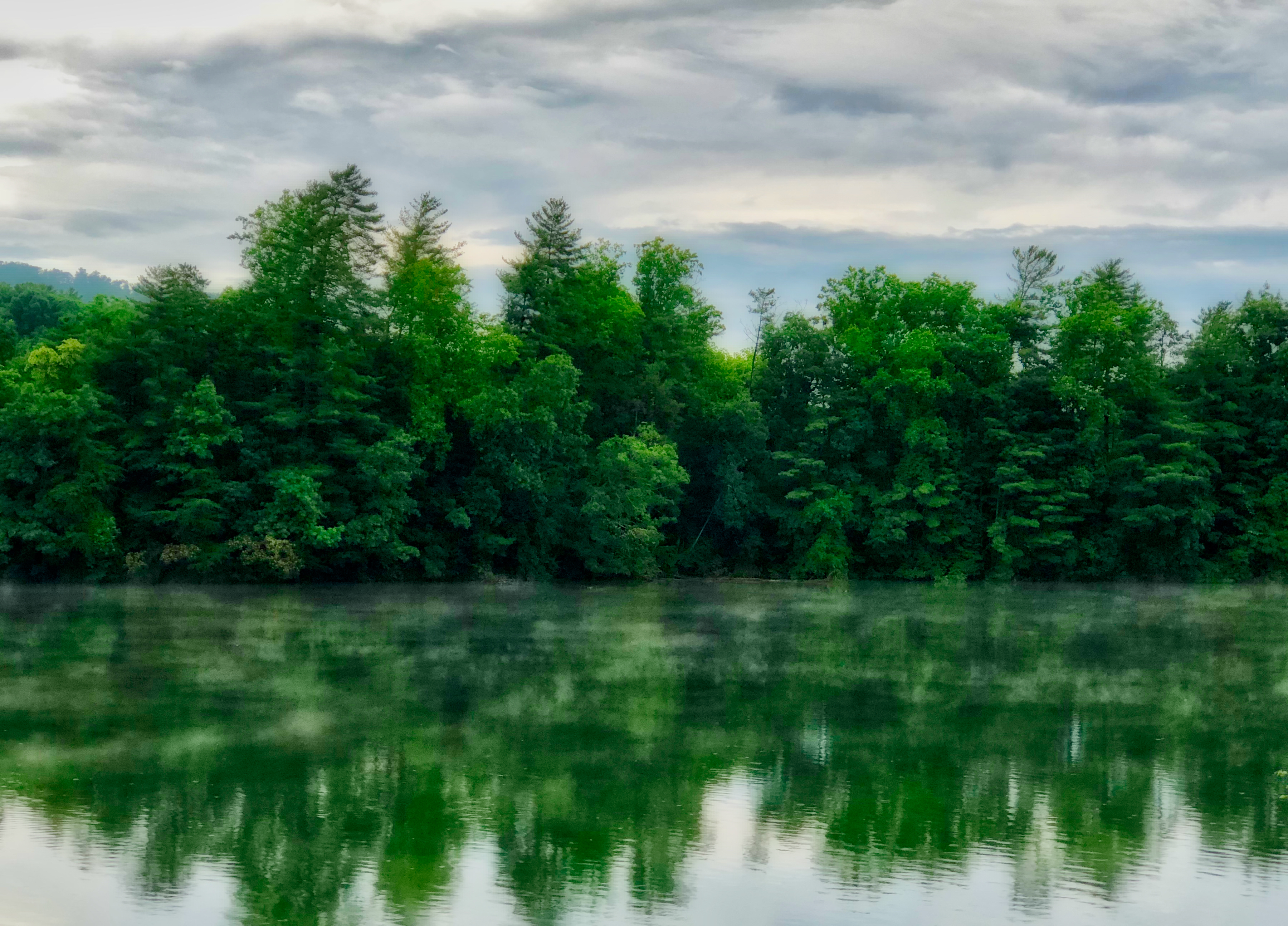 Misty lake with green treeline perfectly reflected in still water